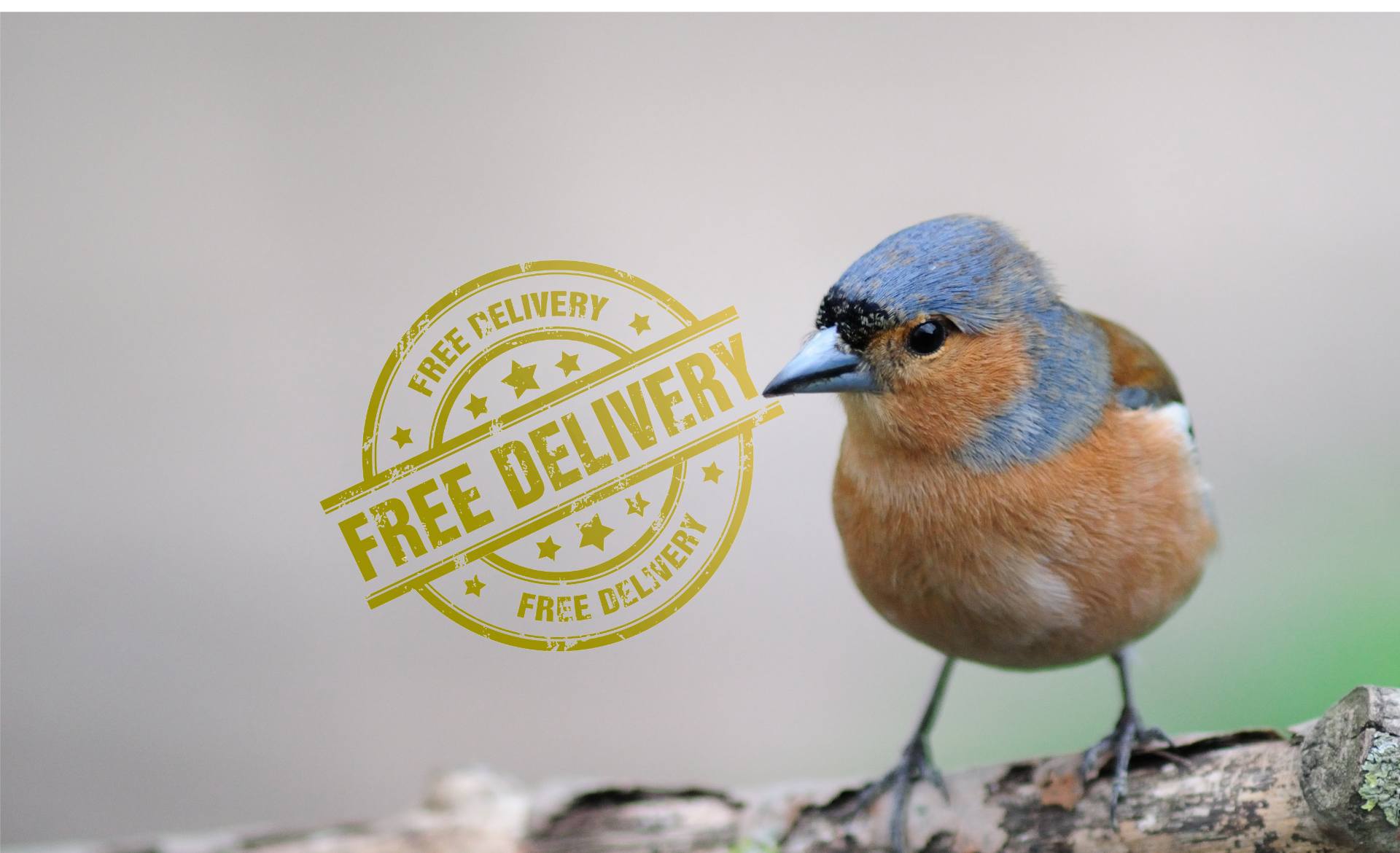 Free Delivery on selected bundle deals